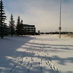 Snow on Pathway (old) at Mc Knight Blvd NE Calgary, Ab T3 J