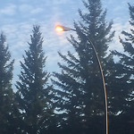 Streetlights Many Out Residential Road at 3409 Cedarille Dr SW