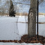 Fence Concern in a Park-WAM at 90 Sikome Ci SE