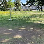 DO NOT USE - Mowing in a Park - Residential Boulevard up to 50km/h-WAM at 2539 33 Av SW