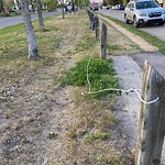 Fence or Structure Concern - City Property at 399 Riverglen Dr SE