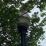 Streetlight Damage at 4094 Garrison Bv SW