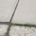 Sidewalk or Curb - Repair at 109 Arbour Summit Cl NW