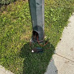 Streetlight Damage at 524 23 Av NE