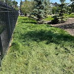 Mowing in a Park at 15 Aspen Summit Co SW
