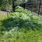 DO NOT USE - Mowing in a Park - Residential Boulevard up to 50km/h-WAM at 7 Aspen Summit Co SW