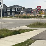DO NOT USE - Mowing on the Boulevard 60+ km/h-WAM at 572 Redstone Dr NE