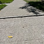 Sidewalk or Curb - Repair at 235 Elgin Wy SE