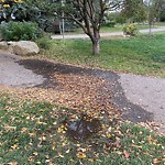 Sprinkler Maintenance in a Park-WAM at 425 1 St NE