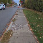 Sidewalk or Curb - Repair at 2611 14 A St SW