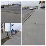 Pedestrian and Cycling Pathway - Repair - WAM at 620 67 Av SW