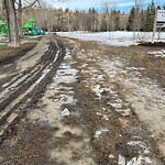 Shrubs, Flowers, Leaves Maintenance in a Park-WAM at 1411 50 Av SW