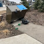 In a Park - Litter Pick Up or Overflowing Park Bins at 143 Lucas Tc NW