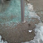 Bus Stop - Shelter Concern at 251 Panamount Gd NW