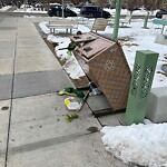 In a Park - Litter Pick Up or Overflowing Park Bins at 936 16 Av SW