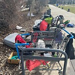 In a Park - Litter Pick Up or Overflowing Park Bins-WAM at 423 12 Av SW