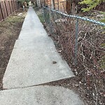 Pedestrian and Cycling Pathway - Repair at 5636 Dalhousie Dr NW