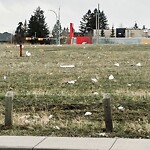 In a Park - Litter Pick Up or Overflowing Park Bins at 1417 33 St SW