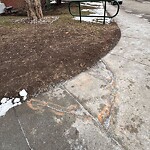 Sidewalk or Curb - Repair at 960 19 Av SW