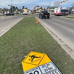 Sign on Street, Lane, Sidewalk - Repair or Replace at 3 Coral Springs Bv NE