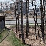 Fence or Structure Concern - City Property at 95 Savanna Gv NE