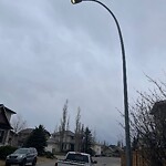 Streetlight Burnt out or Flickering at 175 Arbour Vista Rd NW