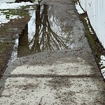 Sidewalk or Curb - Repair at 222 Inverness Pa SE