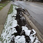 Sidewalk or Curb - Repair at 1320 38 Av SW