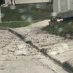 Debris on Street, Sidewalk, Boulevard at 2040 37 St SW