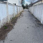 Sidewalk or Curb - Repair at 91 Tarington Rd NE