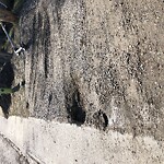 Pothole Repair at 31 Chisholm Crescent NW Northwest Calgary