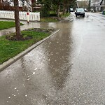 Catch Basin / Storm Drain Concerns at 2168 Vimy Wy SW