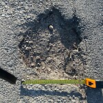 Pothole Repair at 103 Mountain Park Dr SE