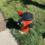 Fire Hydrant Concerns at 212 Chaparral Dr SE