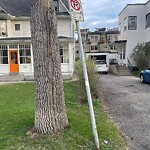 Sign on Street, Lane, Sidewalk - Repair or Replace at 537 20 Av SW