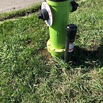 Fire Hydrant Concerns at 164 Beaconsfield Wy NW