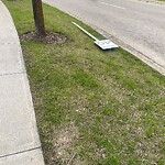 Sign on Street, Lane, Sidewalk - Repair or Replace at 11 Citadel Gv NW