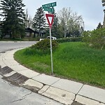 Sign on Street, Lane, Sidewalk - Repair or Replace at 195 Falsby Rd NE