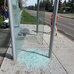 Bus Stop - Shelter Concern at 9808 24 St SW