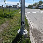 Streetlight Damage at 403 Arlington Dr SE