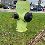 Fire Hydrant Concerns at 104 Silverthorn Rd NW