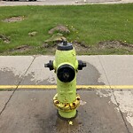 Fire Hydrant Concerns at 1817 52 St SE