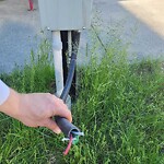 Streetlight Damage at 218 7 Av SE