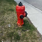 Fire Hydrant Concerns at 227 Queen Charlotte Pl SE