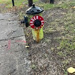 Fire Hydrant Concerns at 1603 Mcgonigal Dr NE