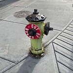 Fire Hydrant Concerns at 828 17 Av SW