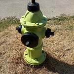 Fire Hydrant Concerns at 1216 14 St SW