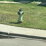 Fire Hydrant Concerns at 5717 2 St SW