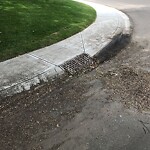 Catch Basin / Storm Drain Concerns at 4 Whitemont Pl NE