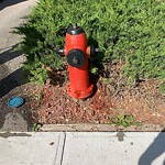 Fire Hydrant Concerns at 307 Penbrooke Cr SE